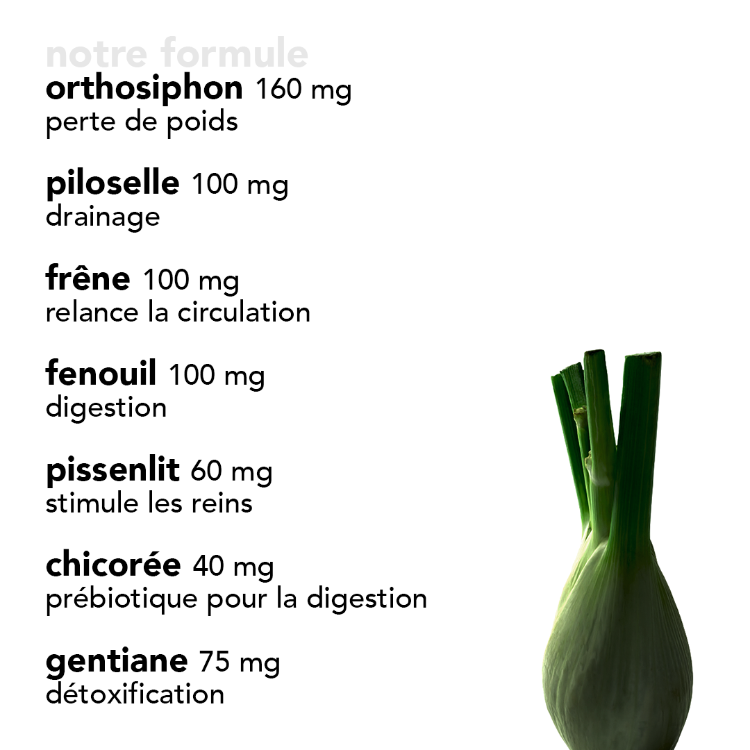 gélules détox