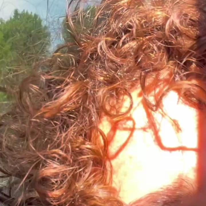 gélules cheveux